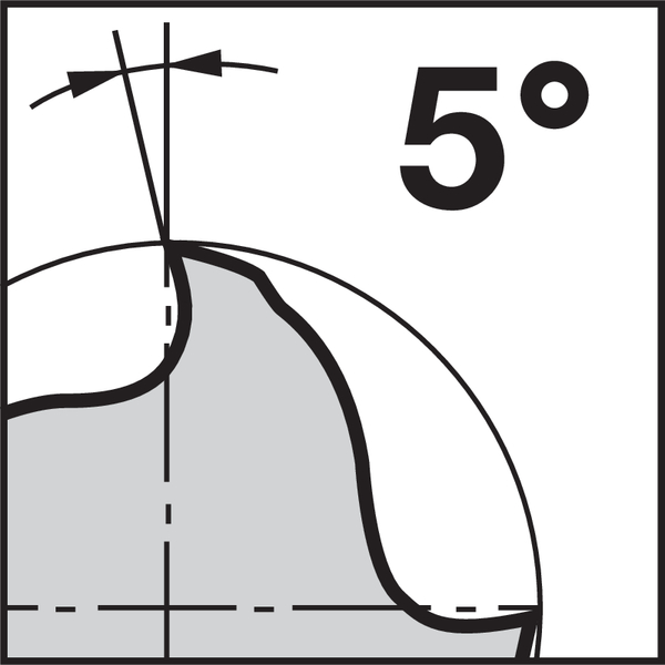 Pikto Rückspanwinkel: 5